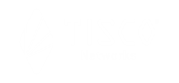 SAP consultants and IT support services working together at Tisco. Custom software solutions for enterprise clients